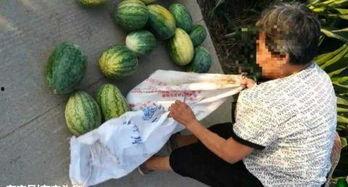 利川吃瓜最新事件爆料,揭秘背后惊人真相